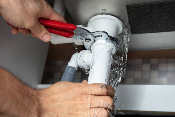 Best Carpet water damage restoration  in The Hammocks, FL