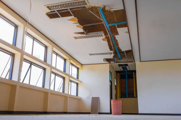 Best Residential water damage restoration  in The Hammocks, FL