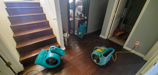 Best 24/7 water damage repair  in The Hammocks, FL