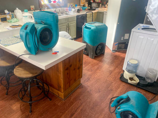 Best Local water damage restoration  in The Hammocks, FL
