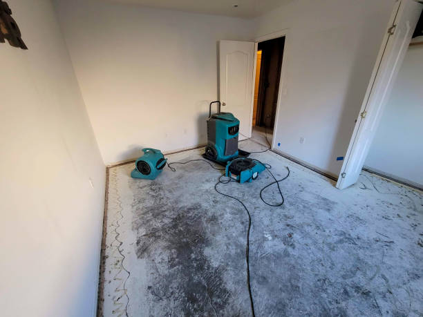 Best 24-hour water damage restoration  in The Hammocks, FL
