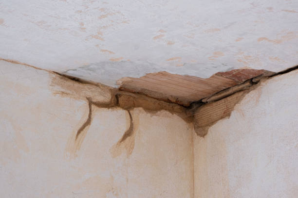 Best Water damage restoration cost  in The Hammocks, FL