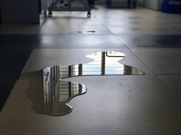 , FL Water damage restoration Company