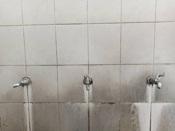 Best Water damage restoration mold remediation  in The Hammocks, FL