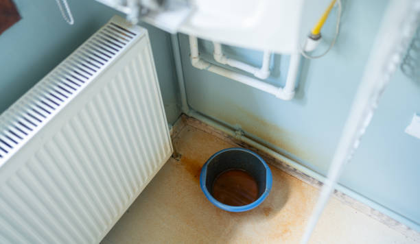 Best Water damage restoration near me  in The Hammocks, FL