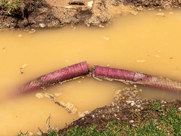 Best Water damage cleanup near me  in The Hammocks, FL