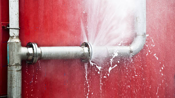 Water damage restoration mold remediation in FL