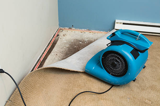  The Hammocks, FL Water damage restoration Pros