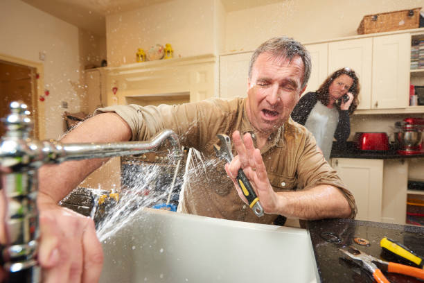 Best Flood damage cleanup  in The Hammocks, FL